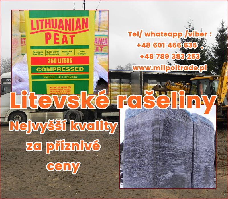 Litevsk raeliny nejvy kvality za pzniv ceny